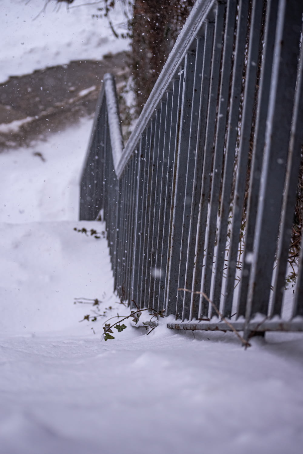 valla de madera negra cubierta de nieve