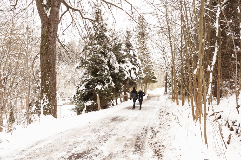 2 personas caminando por un camino cubierto de nieve entre árboles durante el día