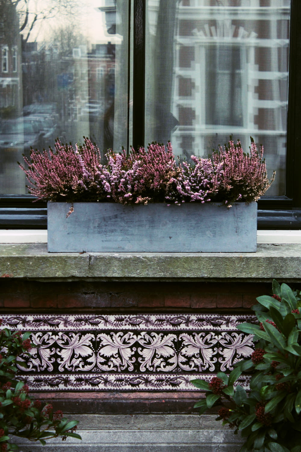 pink flowers on gray concrete window