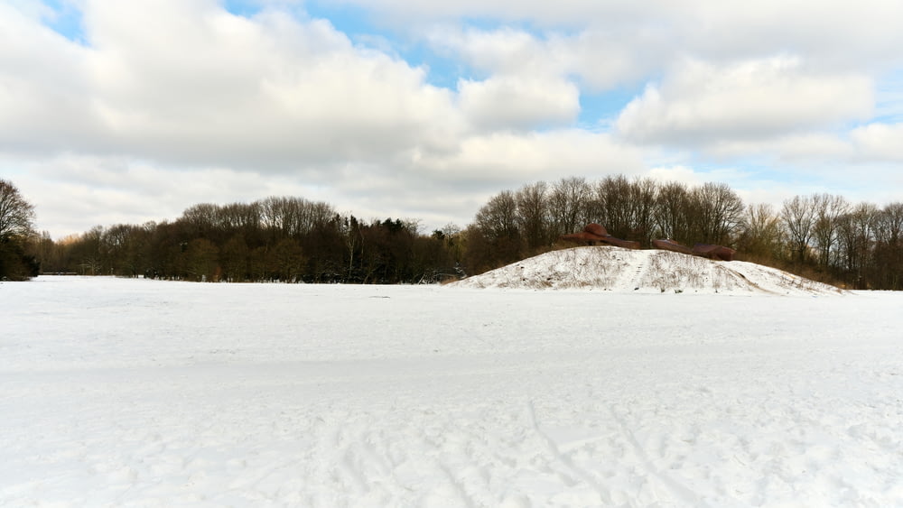 campo cubierto de nieve cerca de los árboles bajo las nubes blancas y el cielo azul durante el día