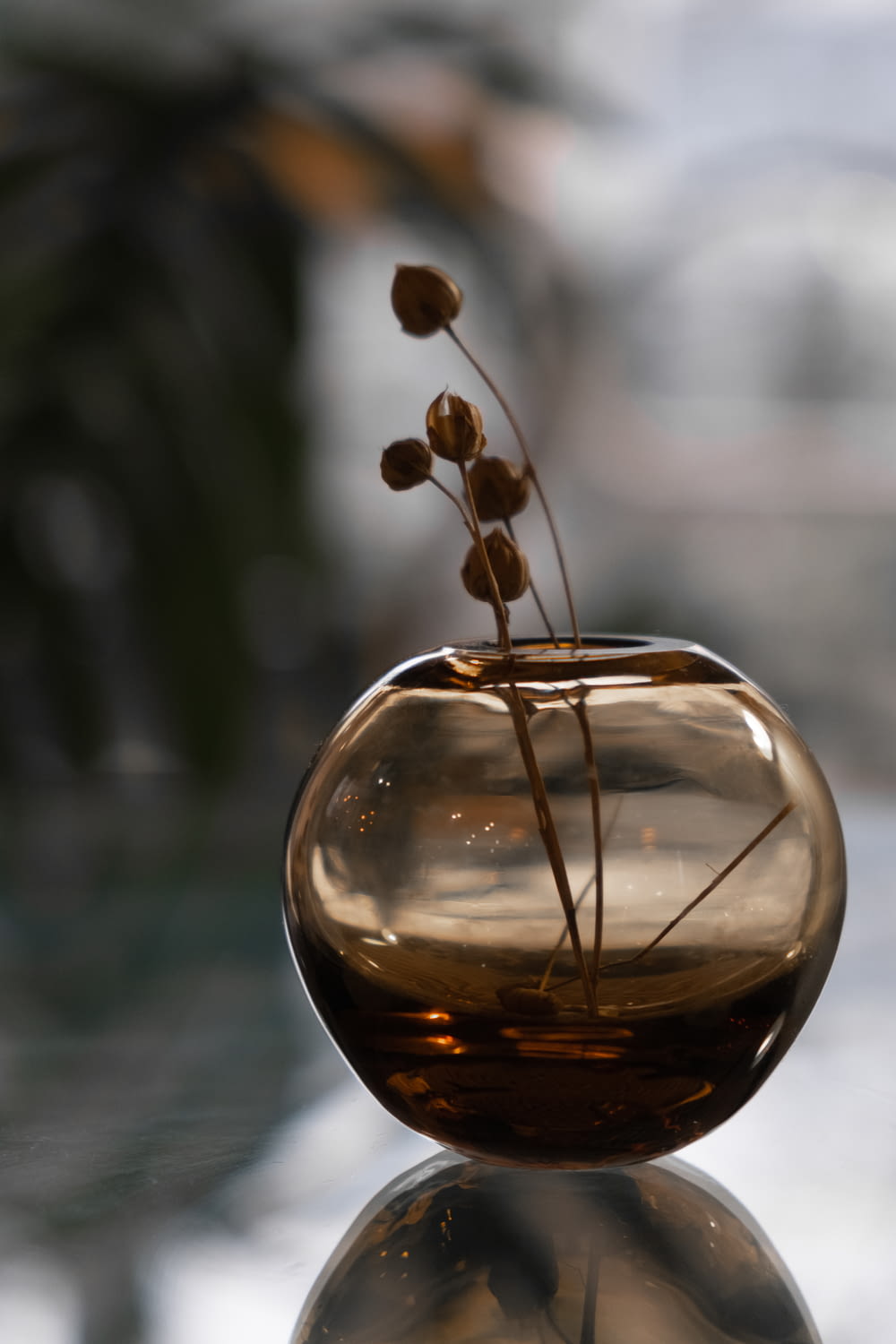 clear glass ball with brown plant