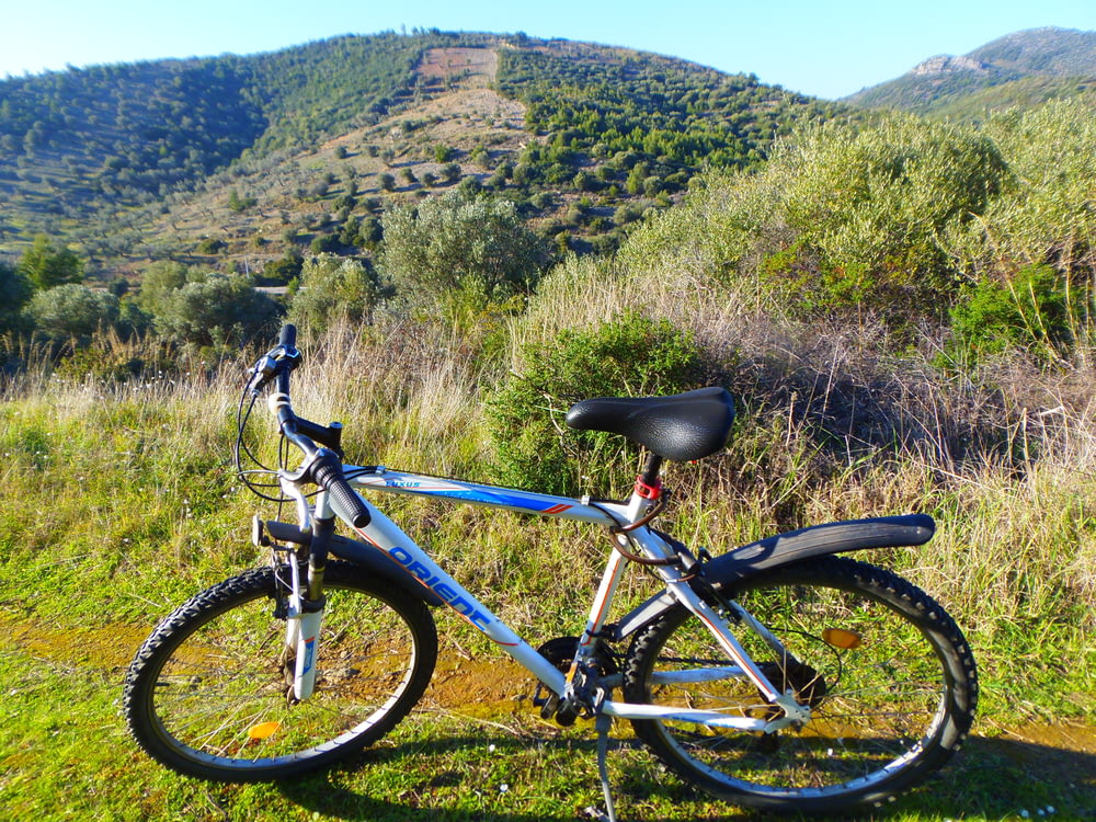 blue and black mountain bike on green grass field during daytime