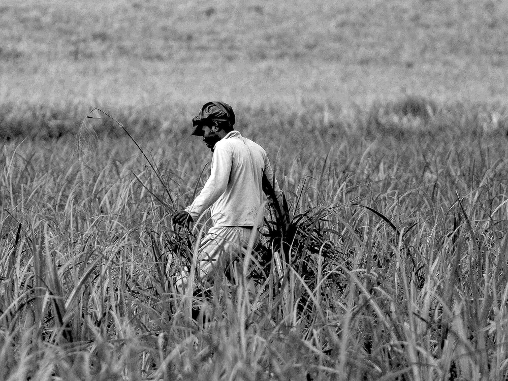 mulher na camisa branca da manga comprida sentada no campo da grama