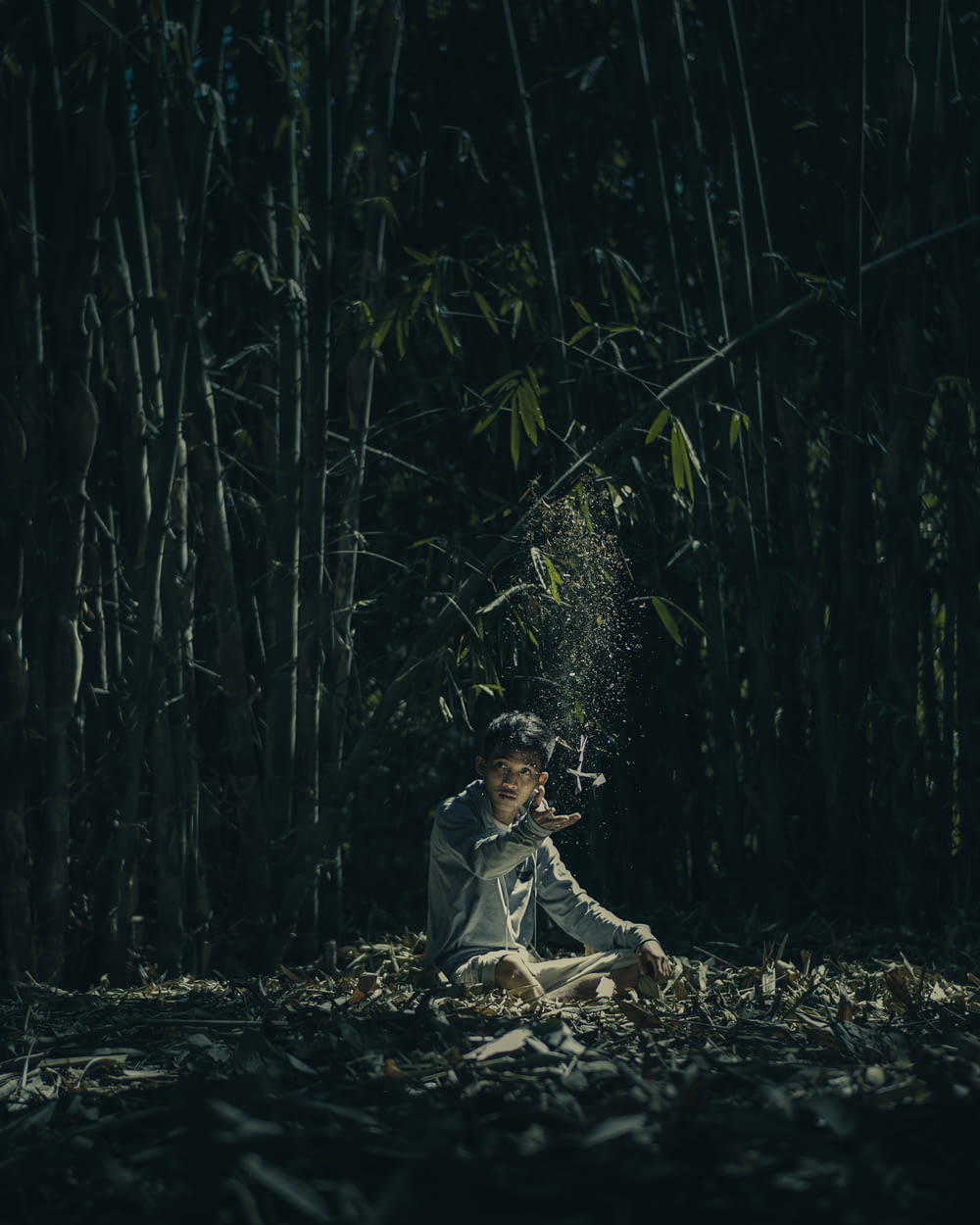 girl in white dress sitting on ground surrounded by bamboo plants