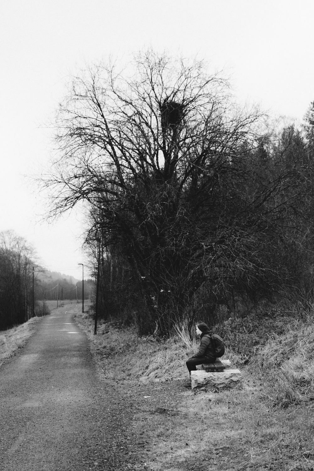 grayscale photo of a woman sitting on a road in the middle of a forest