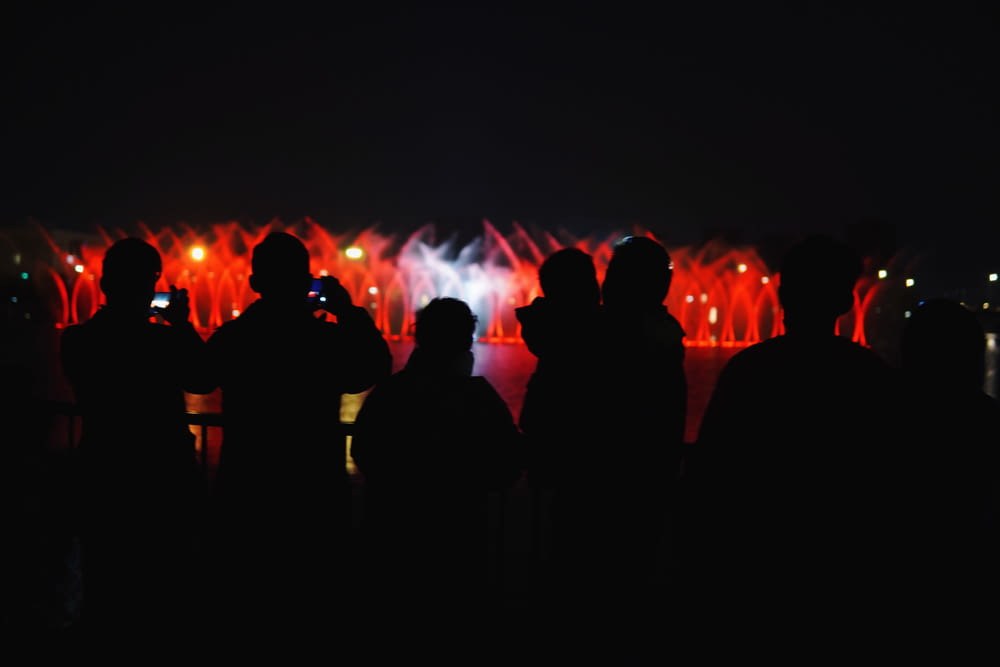 people standing and watching fireworks display during nighttime