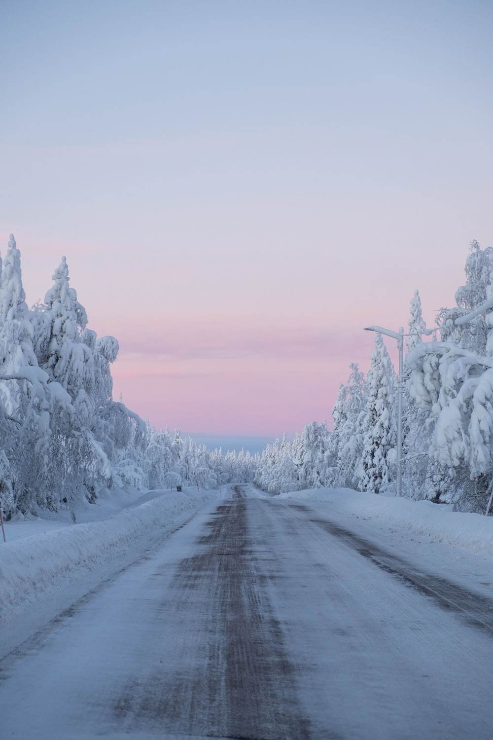 snow covered trees and road during daytime