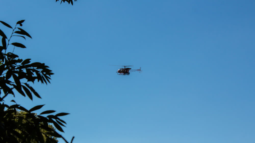 black helicopter flying over green palm trees during daytime