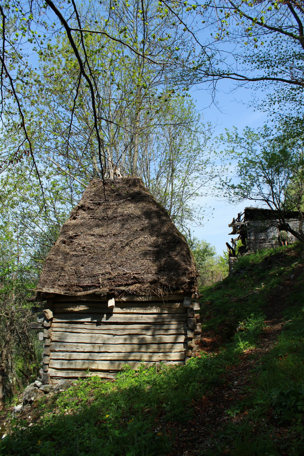Casa di legno marrone vicino agli alberi verdi durante il giorno