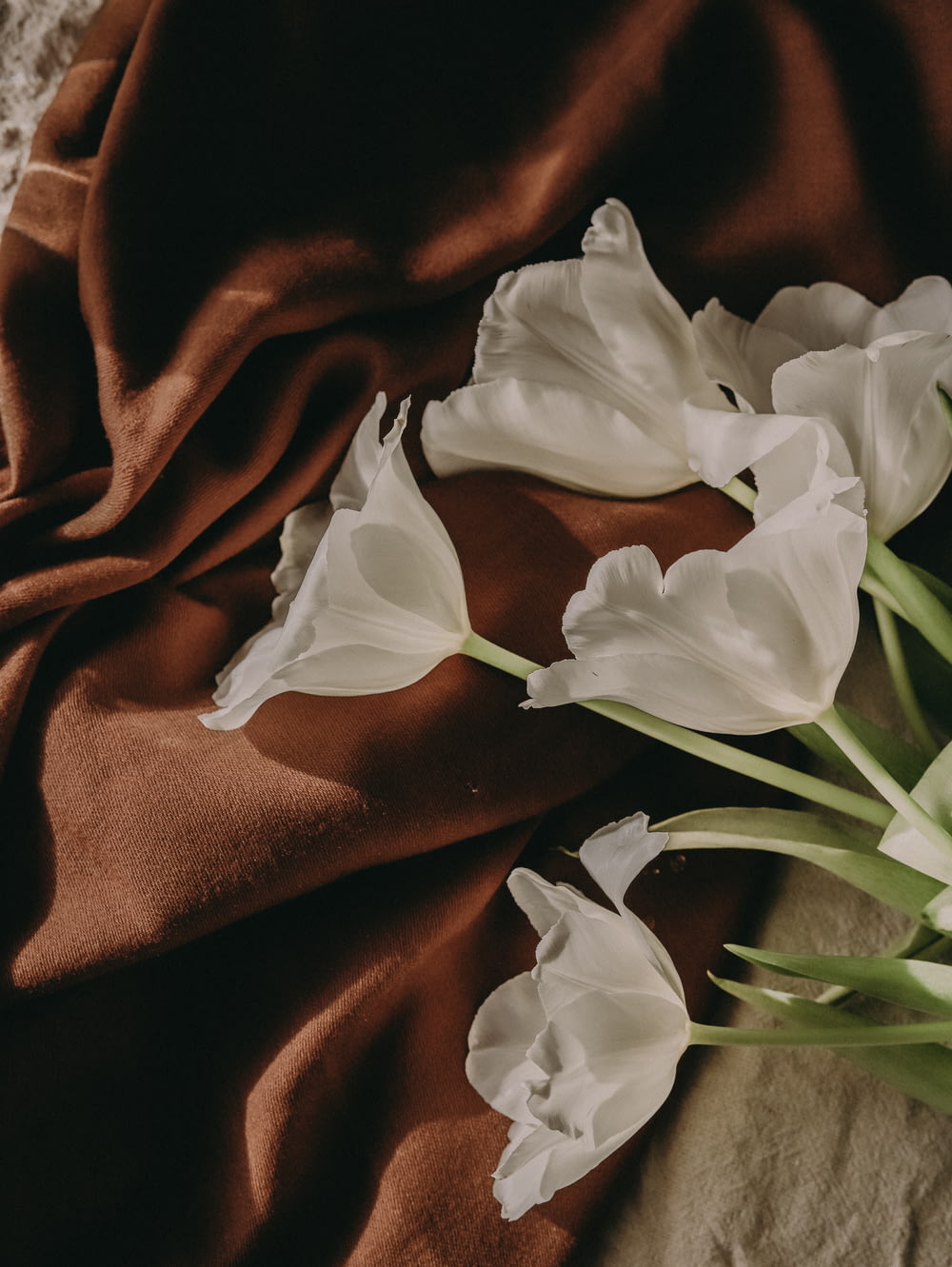 flores blancas sobre tela marrón