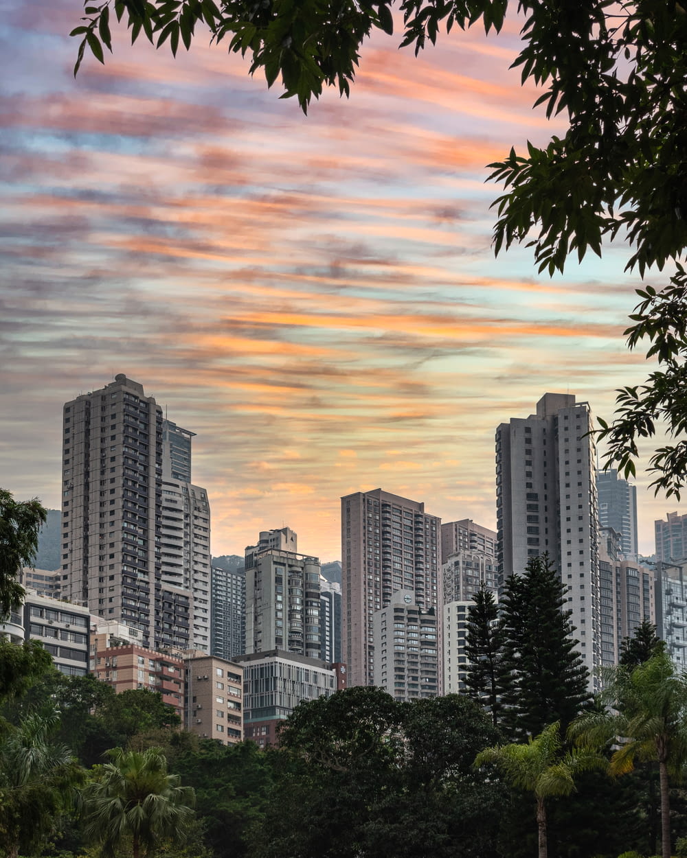high rise buildings near green trees under cloudy sky during daytime