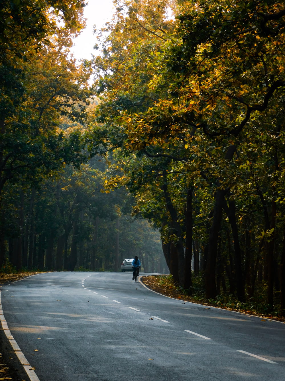 昼間、灰色のアスファルト道路をバイクで走る黒いジャケットの男