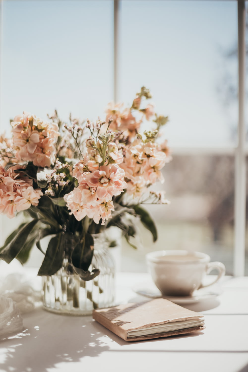 fleurs blanches et roses sur tasse à thé en céramique blanche sur table blanche