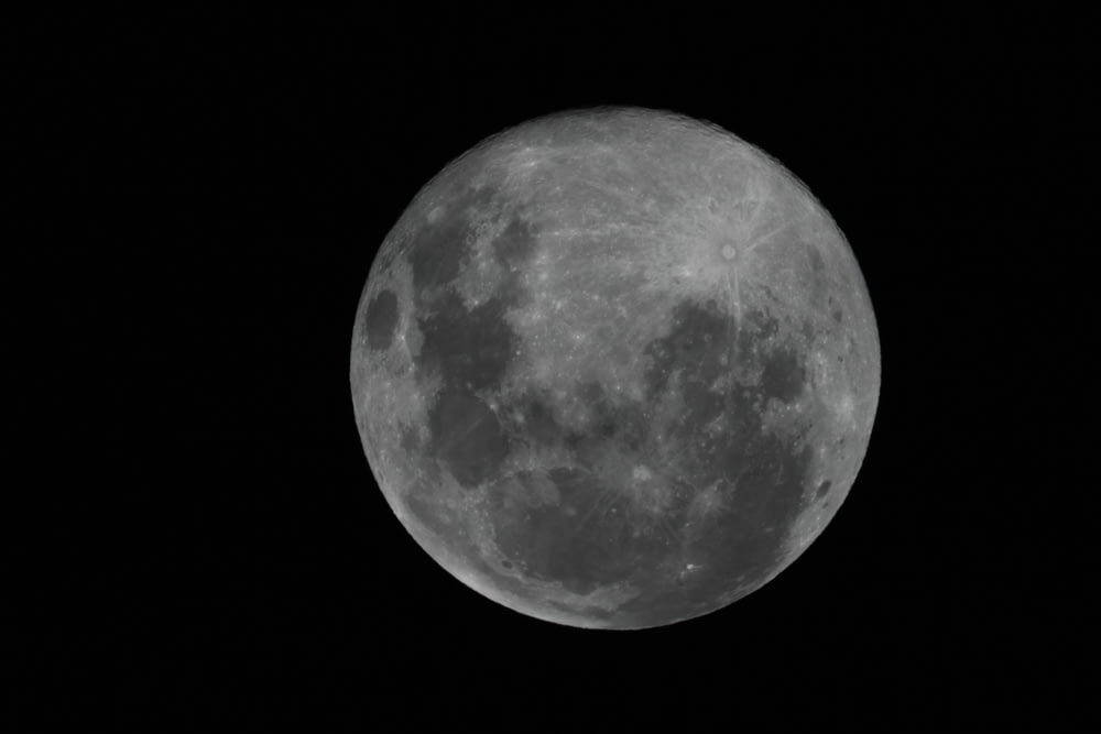 full moon on white background