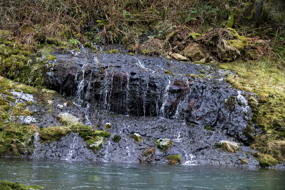 green moss on brown rock near water