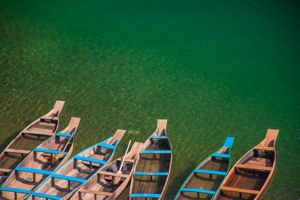 blue and brown wooden boat on green water