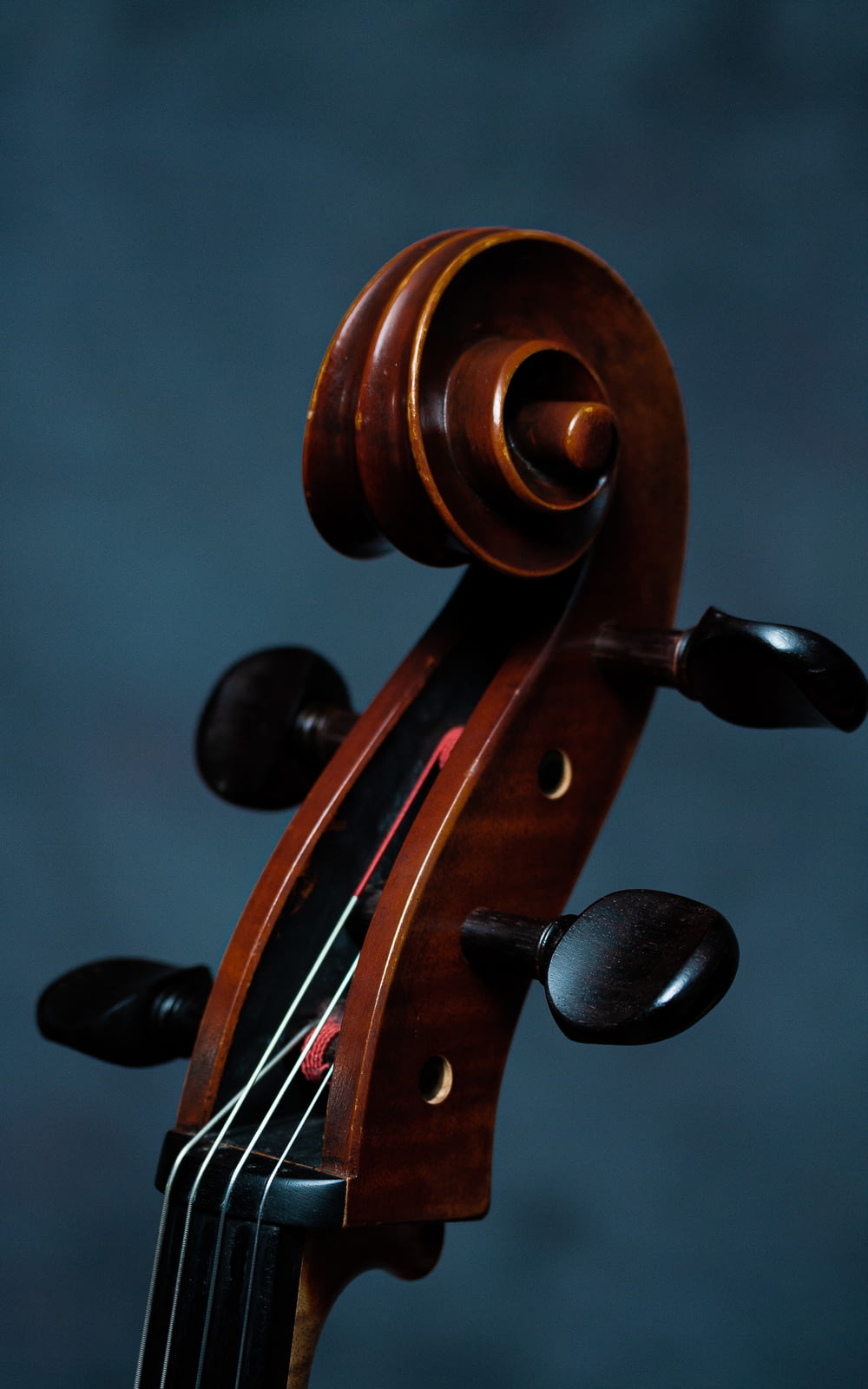 violino marrone con note musicali