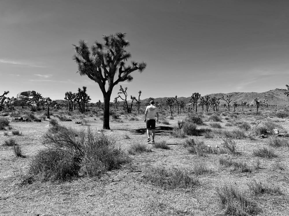 Foto in scala di grigi di 2 uomini che camminano sul campo d'erba