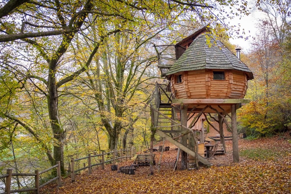 casa de madeira marrom perto de árvores verdes durante o dia