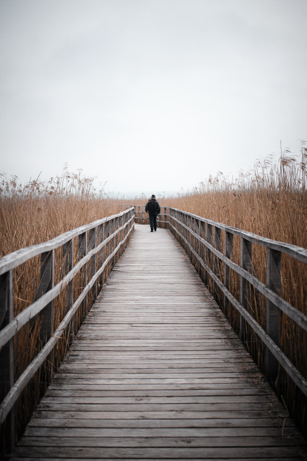 Persona que camina sobre un puente de madera durante el día