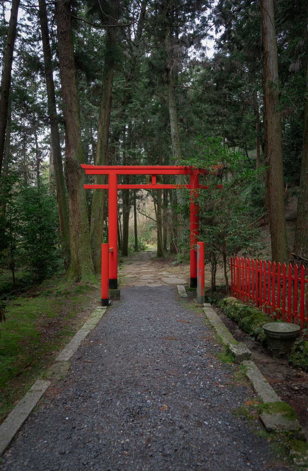 red wooden gate in forest during daytime