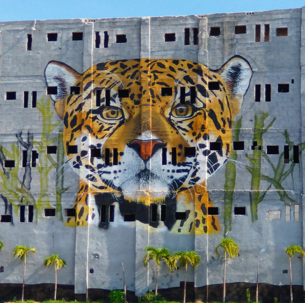 brown and black tiger graffiti