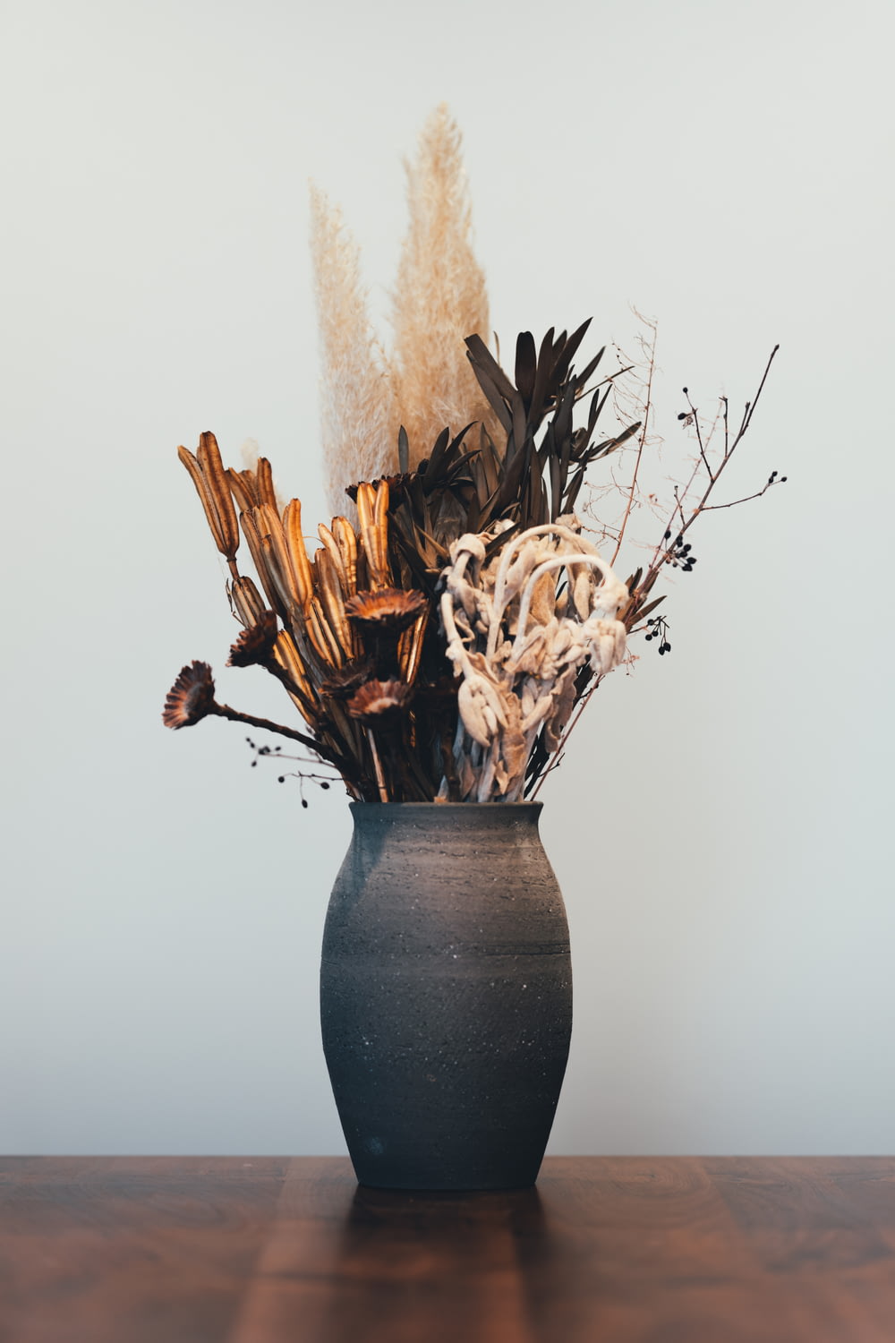 white and brown plant on black ceramic vase