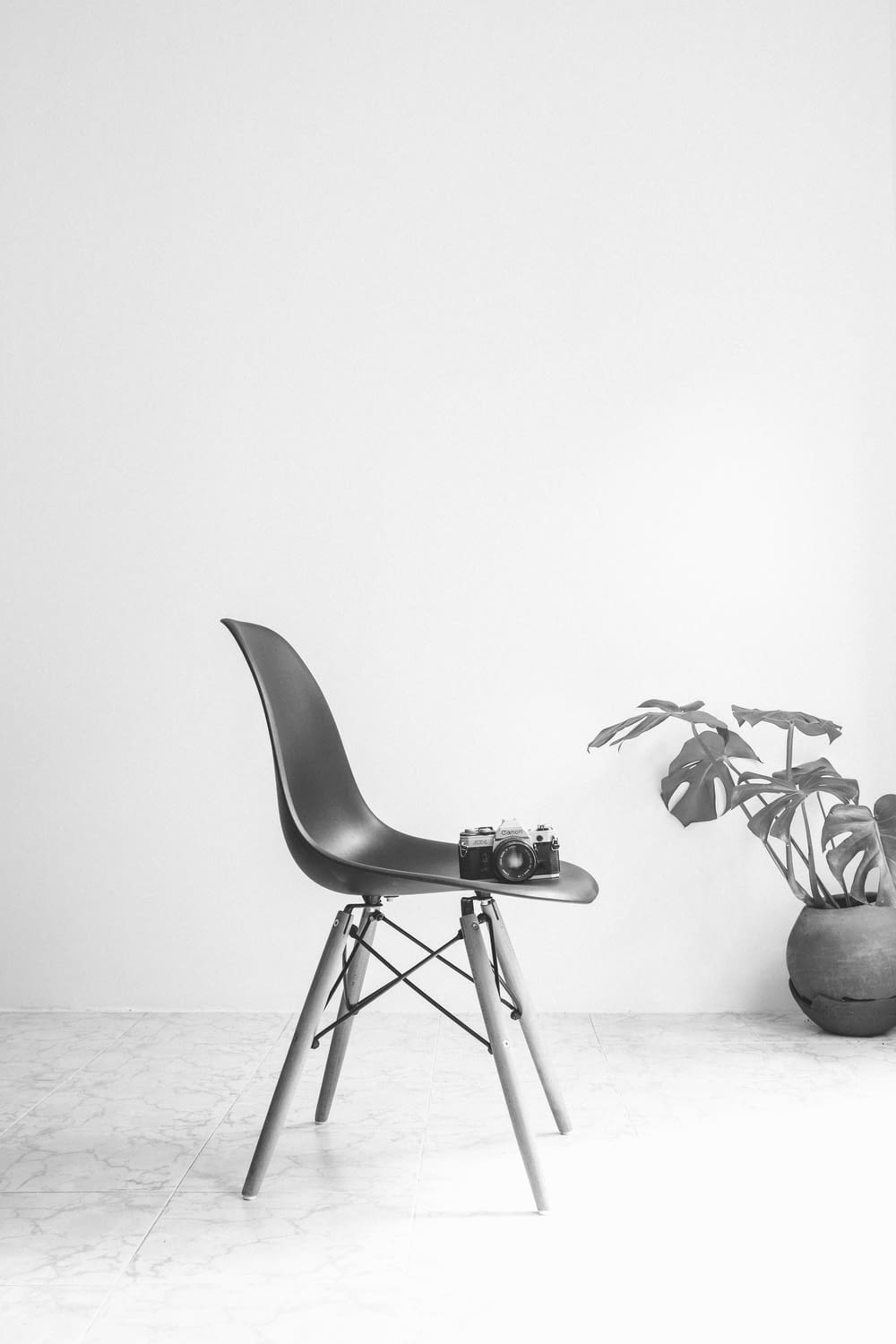 black leather chair beside potted plant