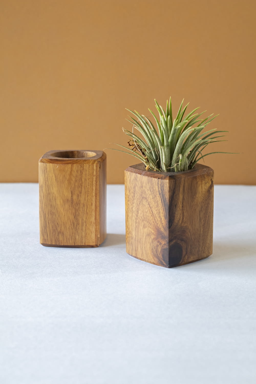 a wooden container with a plant inside of it