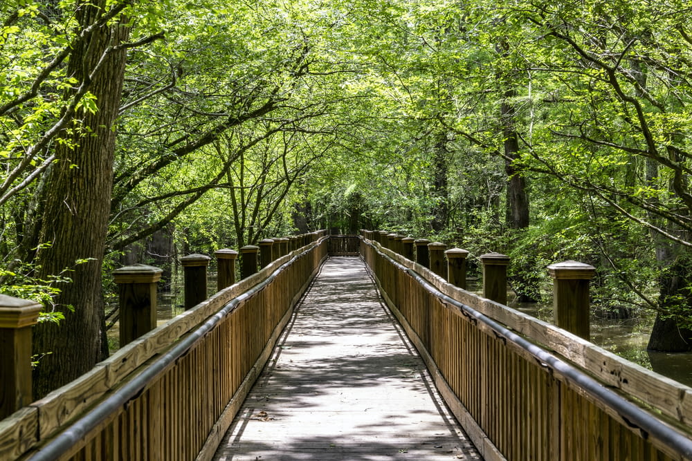緑の木々の真ん中にある茶色の木製の橋