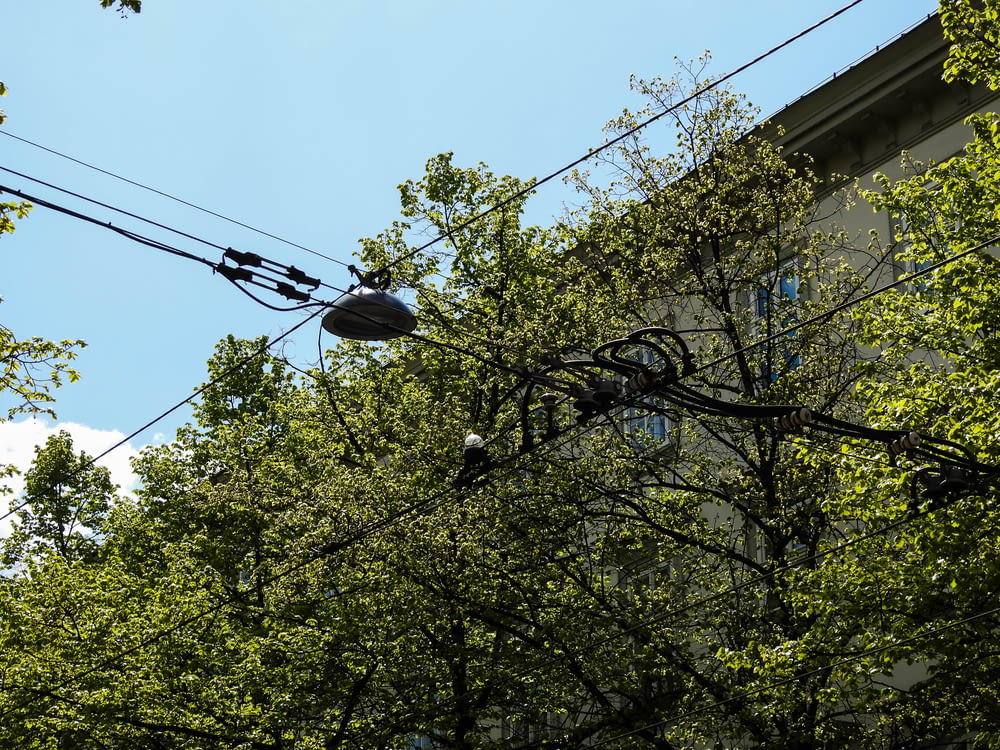 black cable car near green tree during daytime