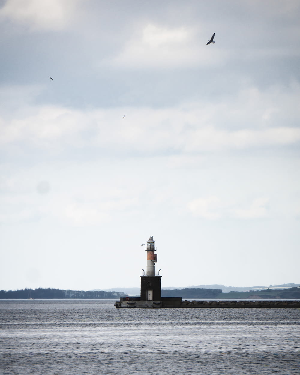 black and white lighthouse near body of water during daytime