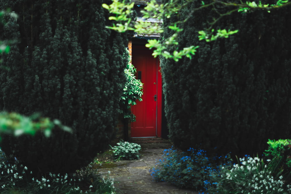緑の木々の近くの赤い木製のドア