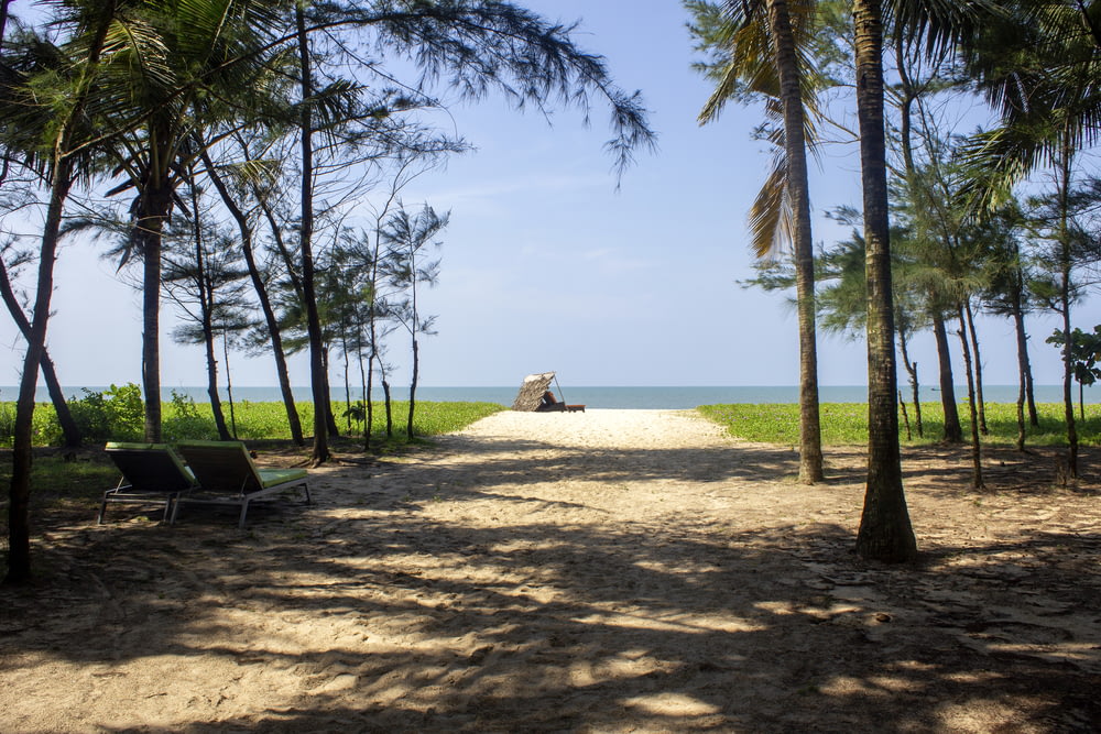 Playa de arena blanca con palmeras