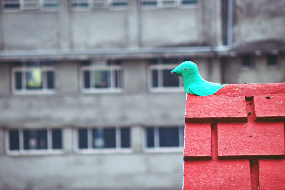 blue bird on red concrete building during daytime