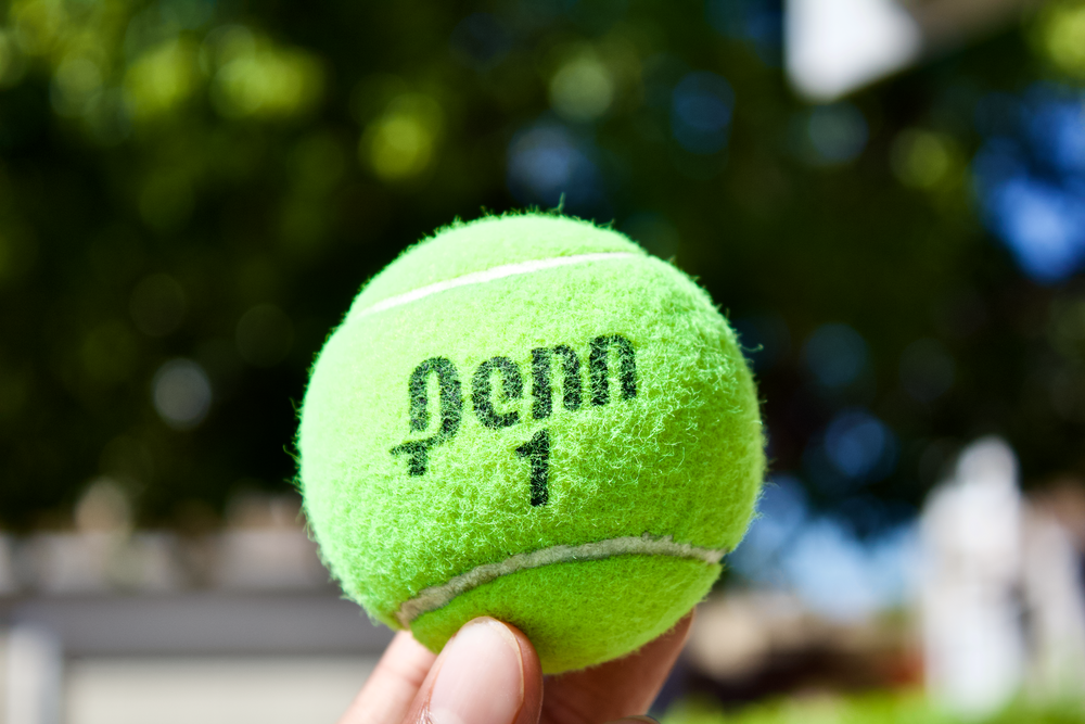 クローズアップ写真の緑のテニスボール
