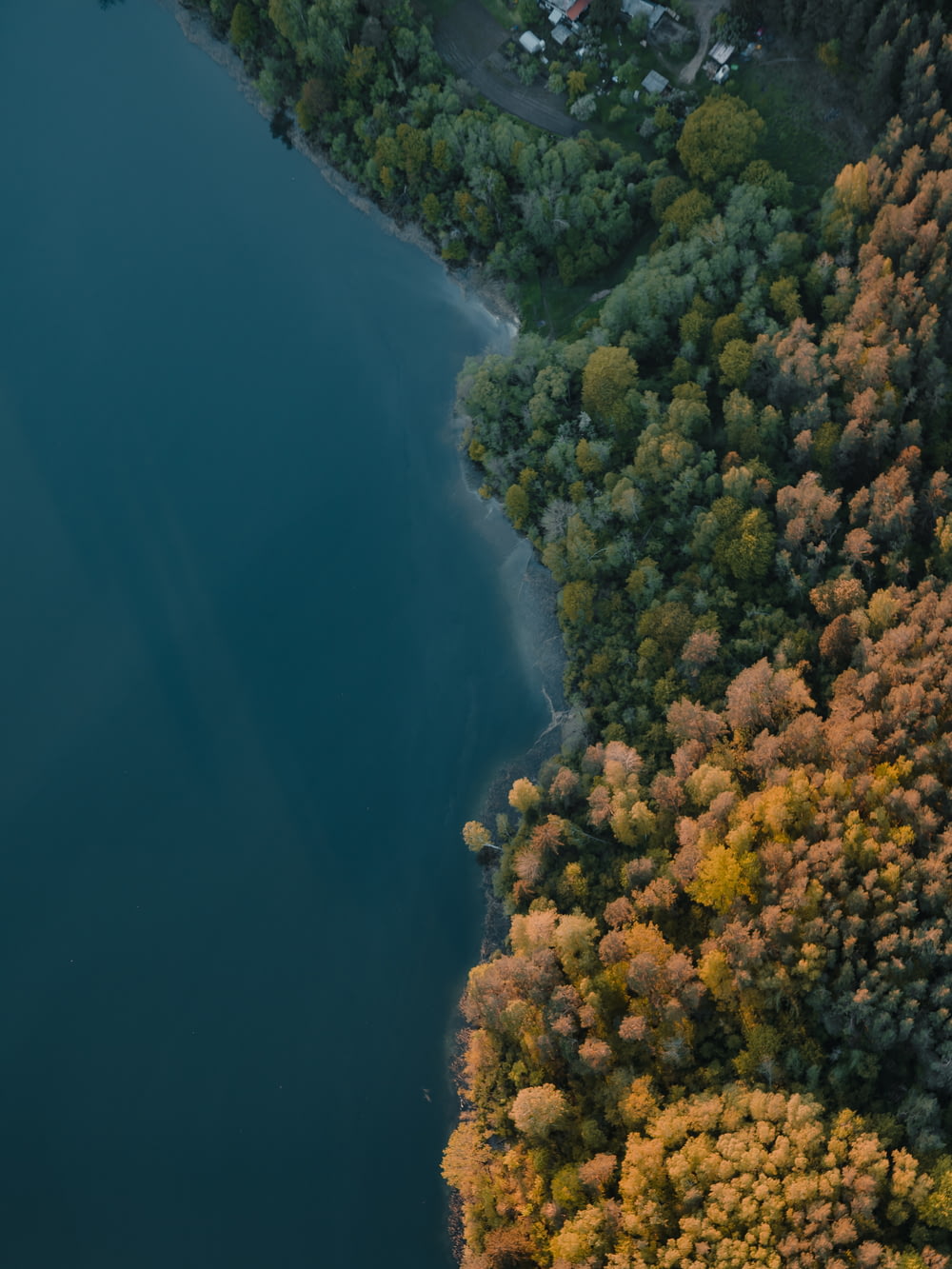 Vue aérienne d’arbres verts et de plan d’eau bleu pendant la journée