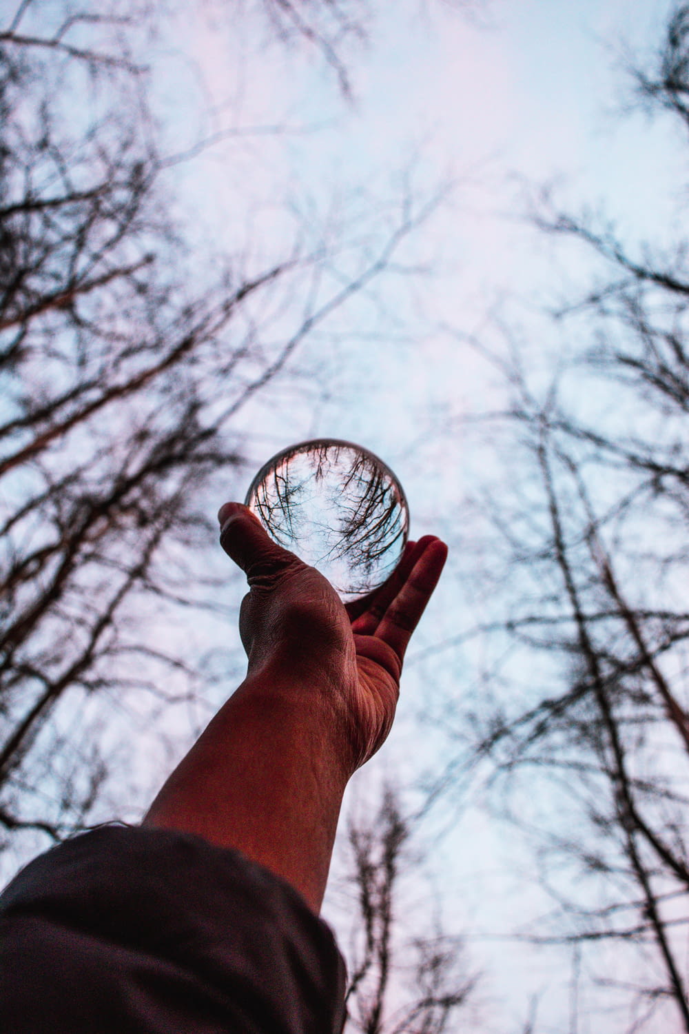 a hand holding a glass bowl in front of trees