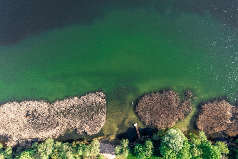 aerial view of green lake