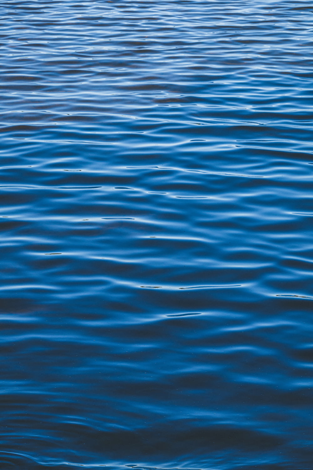 plan d’eau bleu pendant la journée