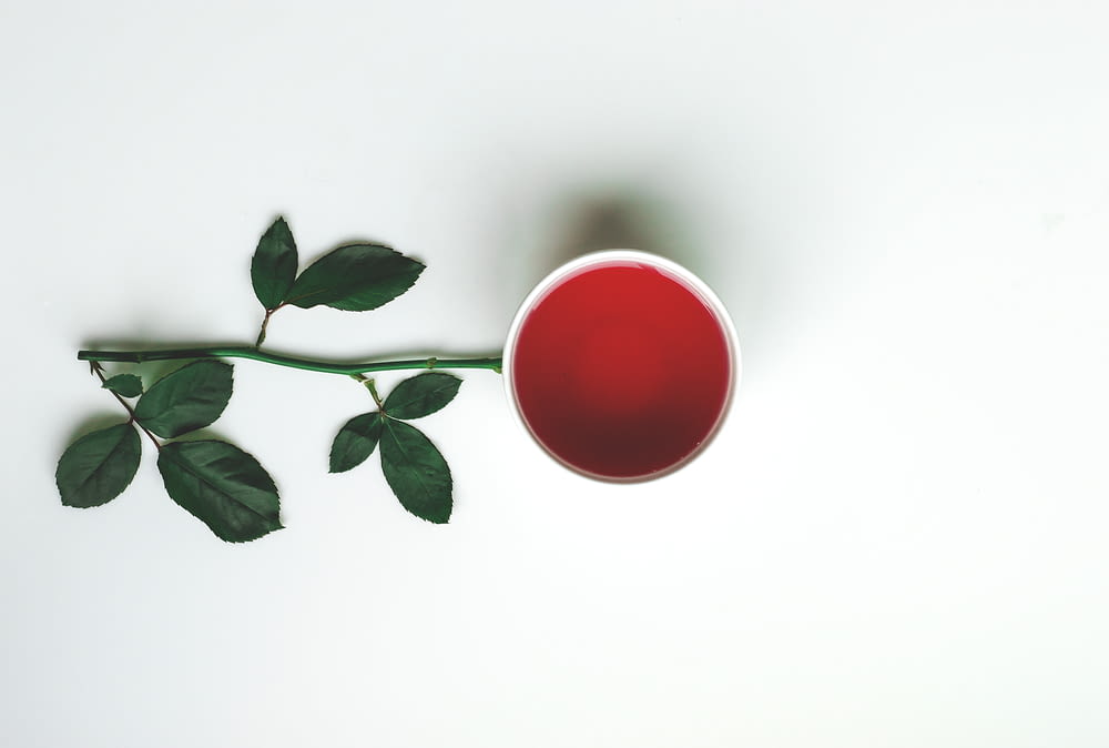 a red vase with green leaves on a white background