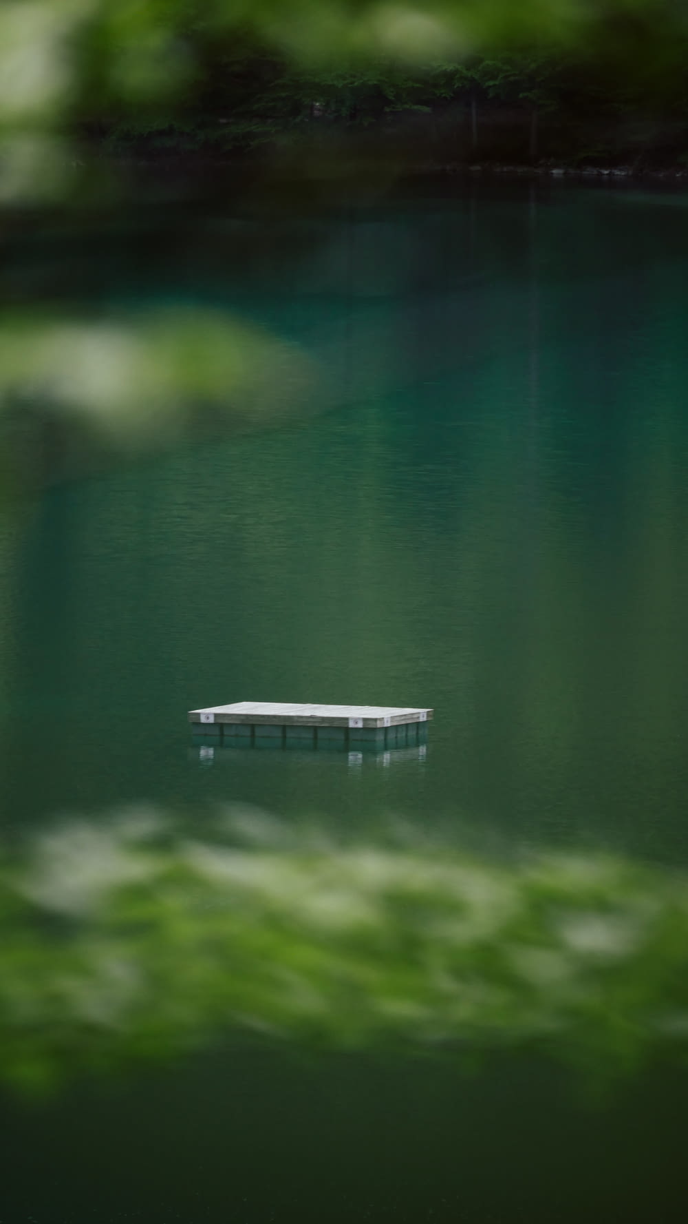 pontile di legno bianco sul lago durante il giorno