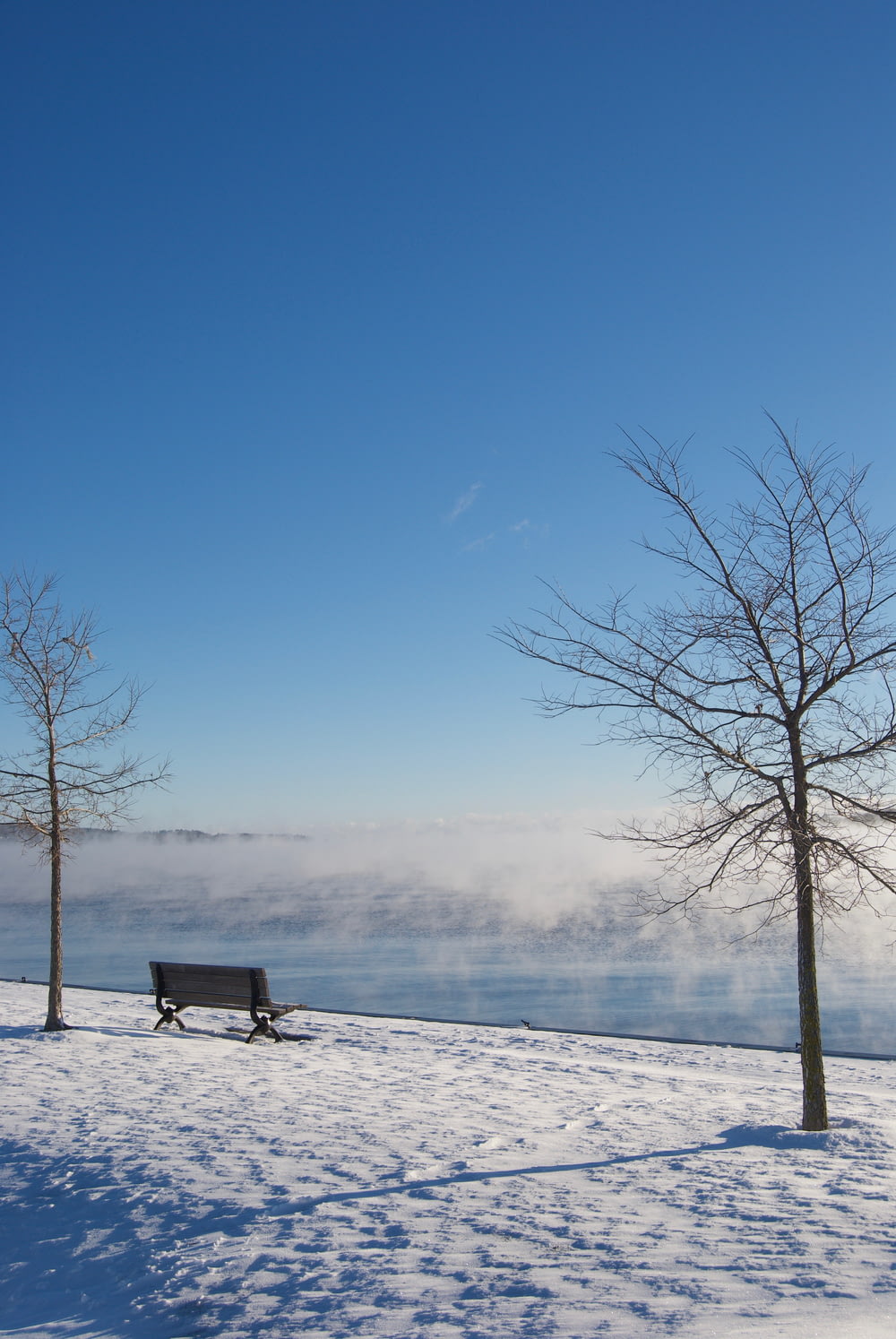 a bench sitting in the snow next to two trees