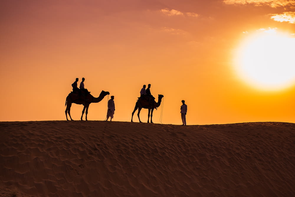 silhouette of people riding camels on desert during sunset