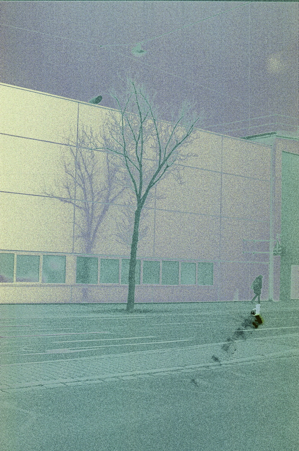uma pessoa andando de skate em uma rua da cidade