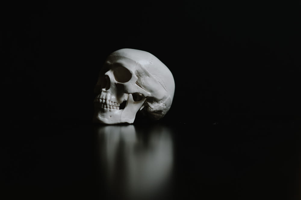 a white skull sitting on a black surface