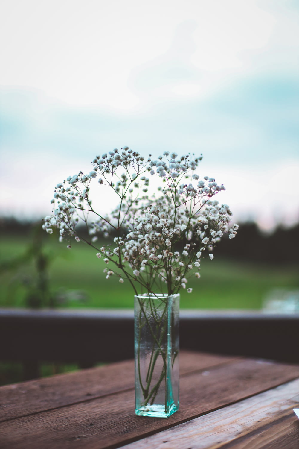 white flowers in clear glass vase