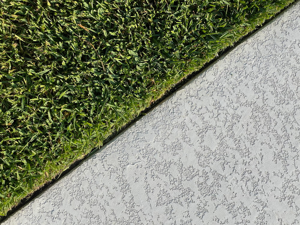 green grass on white concrete wall