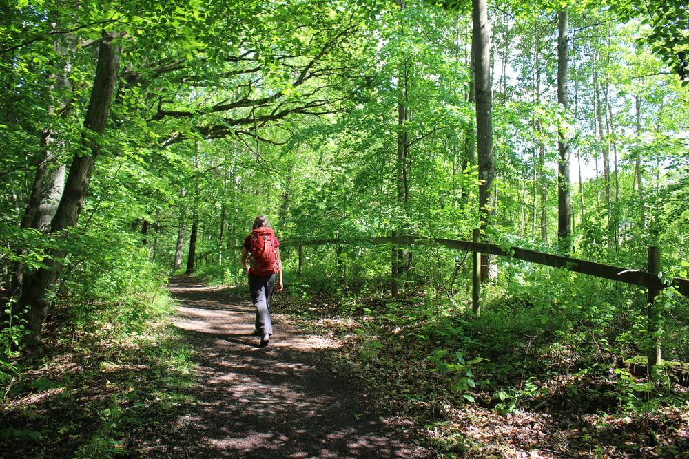 man in red jacket walking on pathway in the middle of forest during daytime