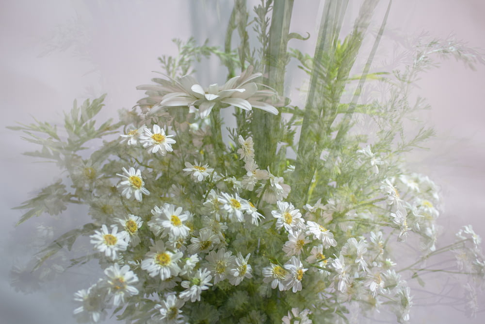 fleurs blanches et violettes dans la chambre blanche